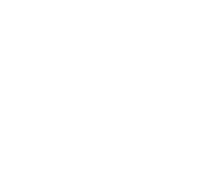 logo hundeschule neg 250